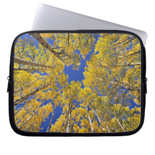USA, Colorado, Aspen-Gebiet. Espenwald im Herbst Laptopschutzhülle