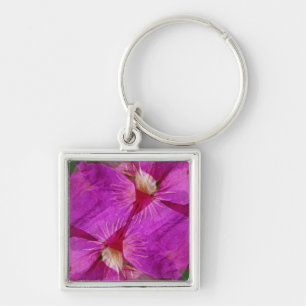 USA, Colorado, Boulder. Clematis-Blumenmontage Schlüsselanhänger