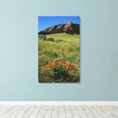 USA, Colorado, Boulder. Flatironen und Mohnblumen Leinwanddruck (Insitu (Holzboden))