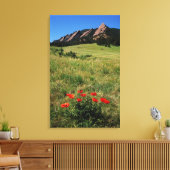 USA, Colorado, Boulder. Flatironen und Mohnblumen Leinwanddruck (Insitu (Wohnzimmer))