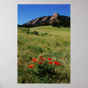 USA, Colorado, Boulder. Flatironen und Mohnblumen Poster