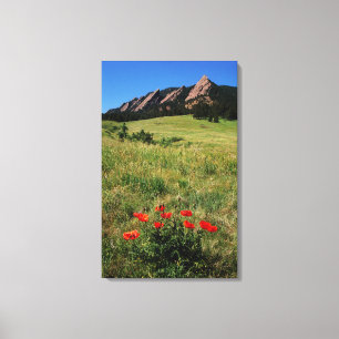 USA, Colorado, Boulder. Flatironen und Pflaumen Leinwanddruck