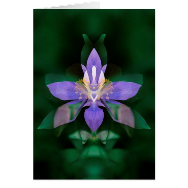 USA, Colorado, Boulder Landkreis (Vorne)