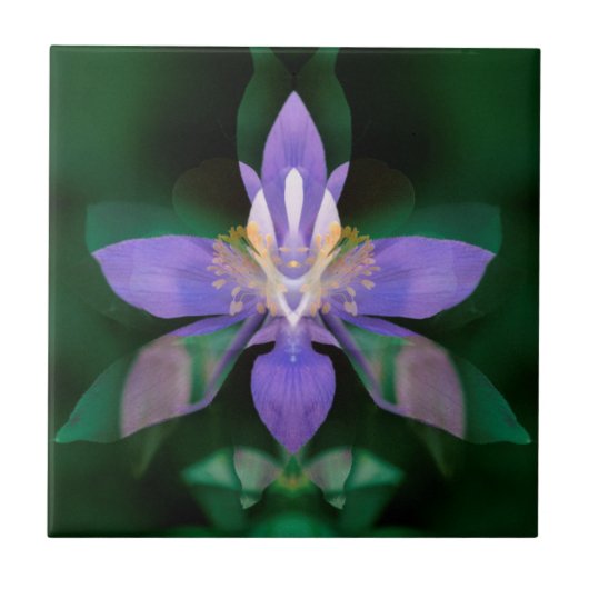 USA, Colorado, Boulder Landkreis Fliese (Vorderseite)