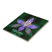 USA, Colorado, Boulder Landkreis Fliese (Seite)