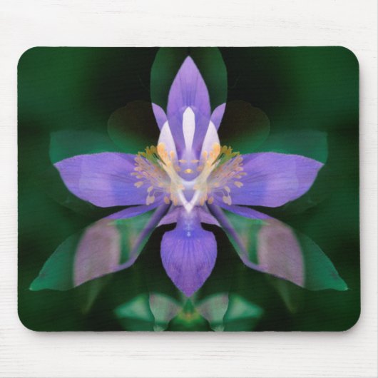 USA, Colorado, Boulder Landkreis Mousepad (Vorne)