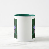 USA, Colorado, Boulder Landkreis Tasse (Zentrum)