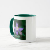 USA, Colorado, Boulder Landkreis Tasse (Vorderseite Links)