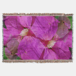 USA, Colorado, Boulder. Montage der Blume Clematis Decke