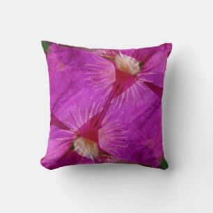 USA, Colorado, Boulder. Montage der Blume Clematis Kissen