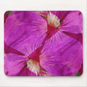 USA, Colorado, Boulder. Montage der Blume Clematis Mousepad