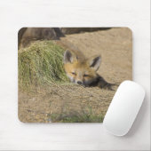 USA, Colorado, Breckenridge. Alarmierter Fuchs Mousepad (Mit Mouse)