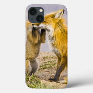 USA, Colorado, Breckenridge. Mutter 2 des roten Case-Mate iPhone Hülle