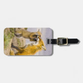 USA, Colorado, Breckenridge. Mutter von Rotfuchs 2 Gepäckanhänger (Vorderseite horizontal)
