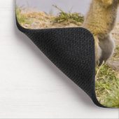 USA, Colorado, Breckenridge. Mutter von Rotfuchs 2 Mousepad (Ecke)