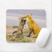 USA, Colorado, Breckenridge. Mutter von Rotfuchs 2 Mousepad (Mit Mouse)