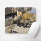 USA, Colorado, Breckenridge. Mutter von Rotfuchs 4 Mousepad (Mit Mouse)