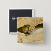 USA, Colorado, Breckenridge. Neuartiger Rotfuchs Button (Vorne & Hinten)