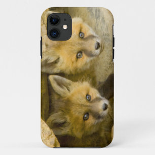 USA, Colorado, Breckenridge. Neugieriger Rotfuchs Case-Mate iPhone Hülle