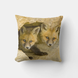 USA, Colorado, Breckenridge. Neugieriger Rotfuchs Kissen