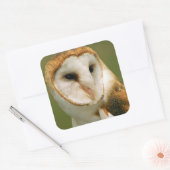 USA, Colorado, Broomfield. Uhu Quadratischer Aufkleber (Umschlag)