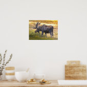 USA, Colorado, Cameron Pass. Bull Elch mit Poster (Küche)