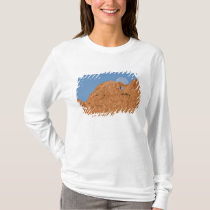 USA, Colorado, Colorado Springs, Garten der T-Shirt