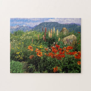 USA, Colorado, Crested Butte. Mohn und Lupine Puzzle