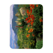 USA, Colorado, Crested Butte. Pflaumen und Lupine Magnet (Vertikal)