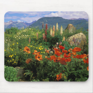 USA, Colorado, Crested Butte. Pflaumen und Lupine Mousepad