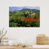 USA, Colorado, Crested Butte. Pflaumen und Lupine Poster (Küche)