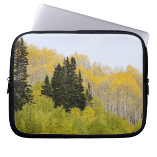 USA, Colorado, Gunnison National Forest, entlang 2 Laptopschutzhülle