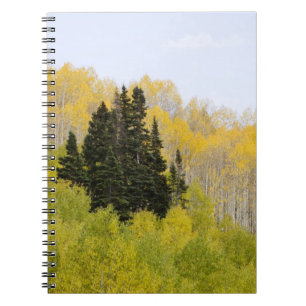 USA, Colorado, Gunnison National Forest, entlang 2 Notizblock