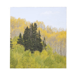 USA, Colorado, Gunnison National Forest, entlang 2 Notizblock