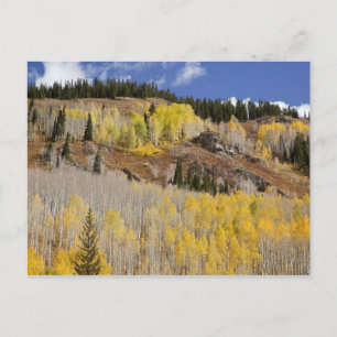 USA, Colorado, Gunnison National Forest, entlang Postkarte