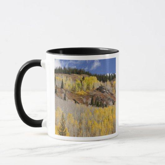 USA, Colorado, Gunnison National Forest, entlang Tasse (Links)