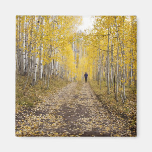 USA, Colorado, Gunnison National Forest in der Näh Magnet