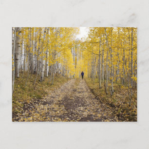 USA, Colorado, Gunnison National Forest in der Näh Postkarte