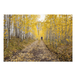 USA, Colorado, Gunnison National Forest nahe Fotodruck