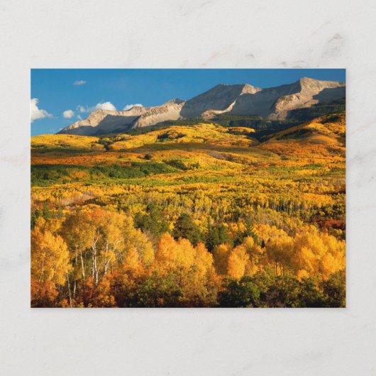 USA, Colorado, Gunnison National Forest Postkarte (Vorderseite)