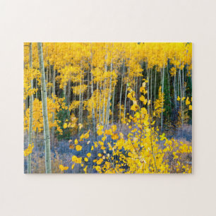 USA, Colorado. Helle gelbe Espen in den Rockies 2 Puzzle