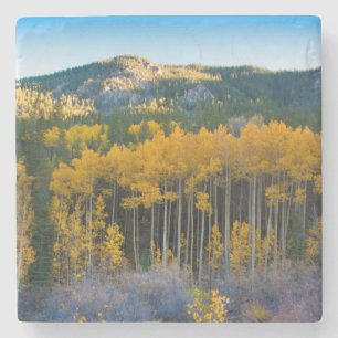 USA, Colorado. Helle gelbe Espen in den Rockies Steinuntersetzer