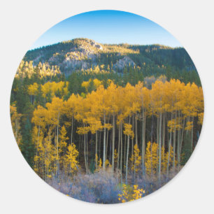 USA, Colorado. Helle gelbe Espen in den Rocky Moun Runder Aufkleber