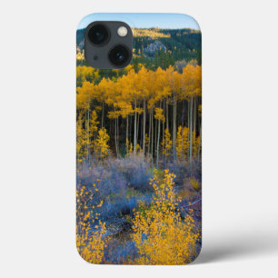 USA, Colorado. Hellgelbe Aspekte in Rockies Case-Mate iPhone Hülle