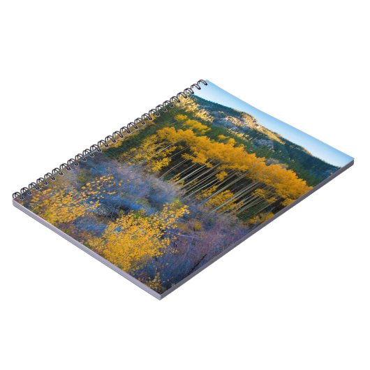 USA, Colorado. Hellgelbe Aspekte in Rockies Notizblock (Linke Seite)