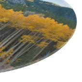 USA, Colorado. Hellgelbe Aspekte in Rockies Schneidebrett (Ecke)