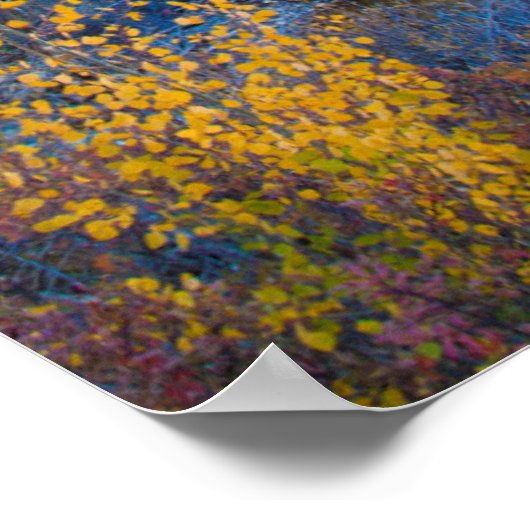 USA, Colorado Hellgelbe Aspen in Rockies Poster (Ecke)