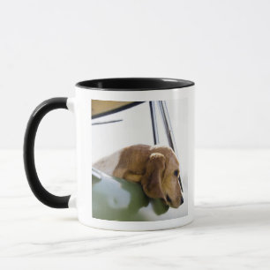 USA, Colorado, Hund, der durch Autofenster schaut Tasse
