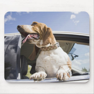 USA, Colorado, Hund durch Autofenster schauend 2 Mousepad