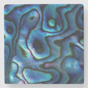 USA, Colorado, Lafayette. Abalone-Muschel Steinuntersetzer